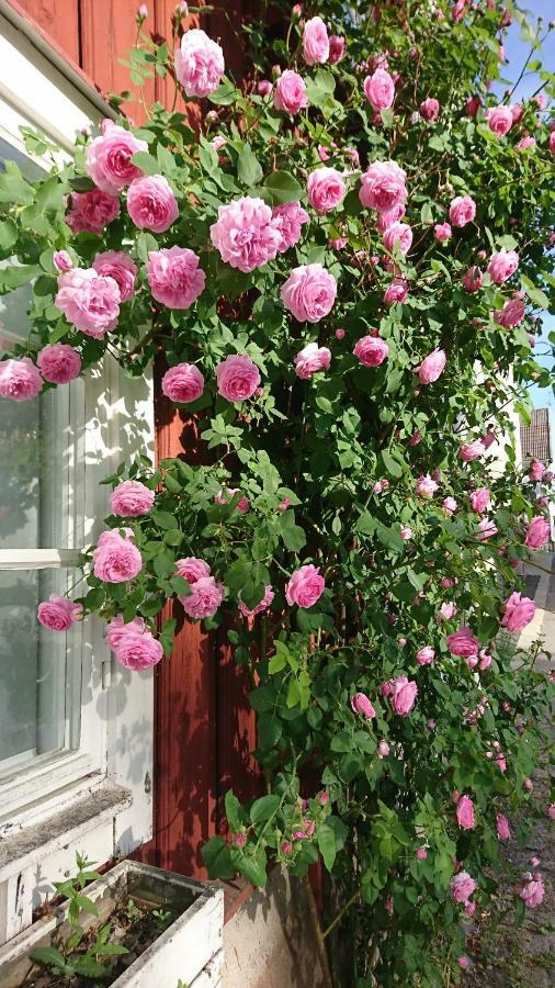 Garvaregarden , Och Cafe Askersund